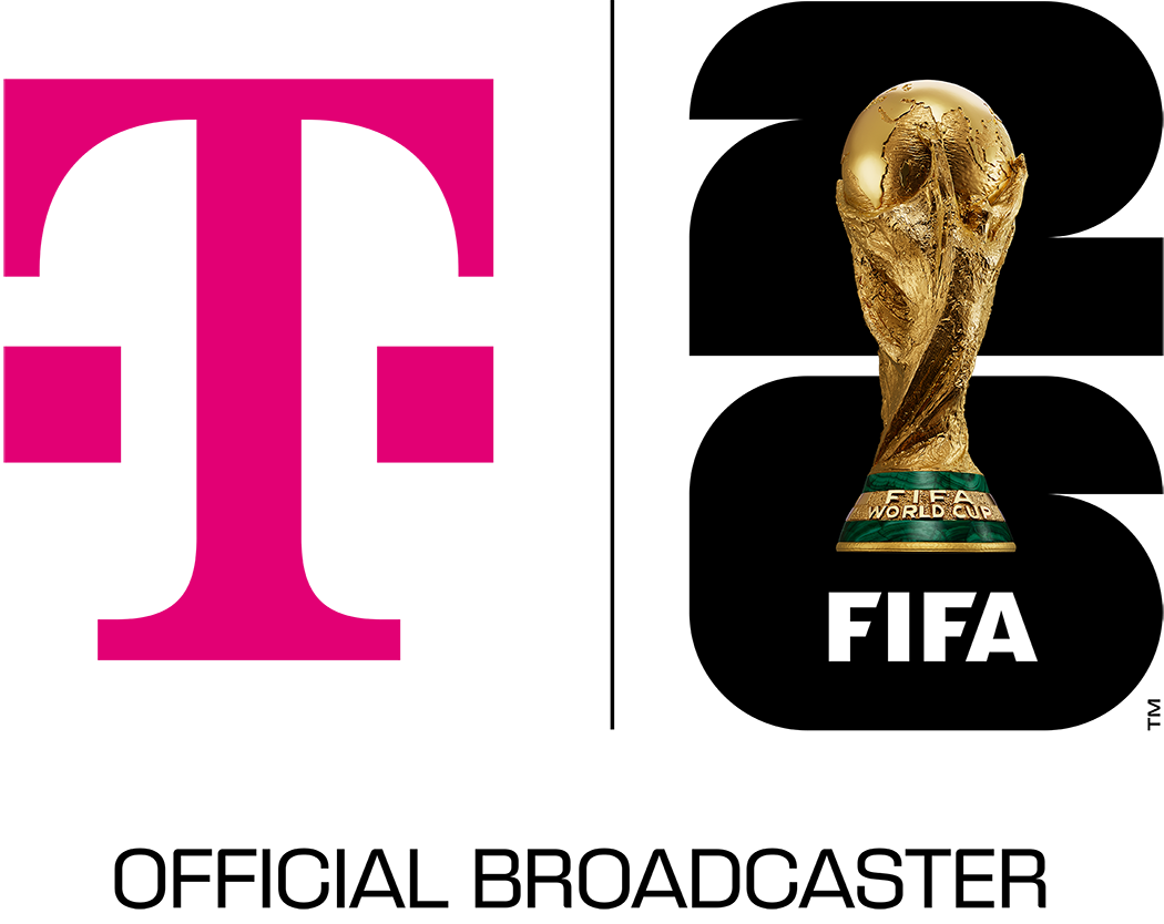 FIFA WM klein